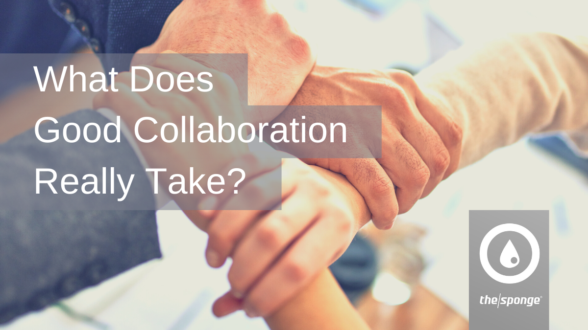 What Does Good Collaboration Really Take?